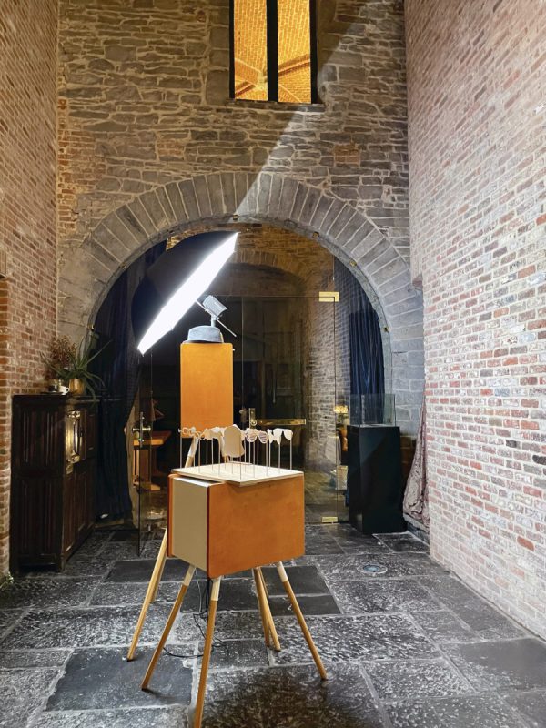 Photobooth met achtergrond [Kortrijk] - Afbeelding 9